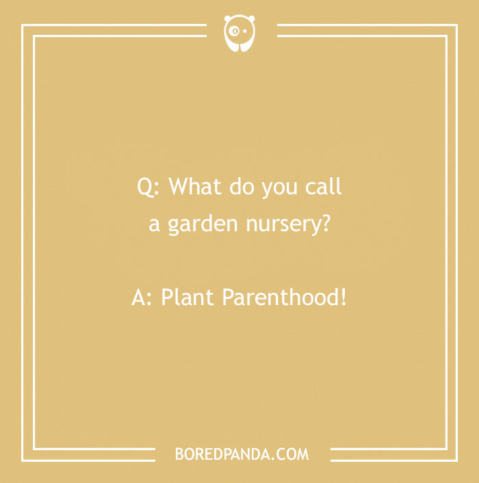 A Collection of 148 Plant Puns That Will Leaf You Chuckling A Collection of 148 Plant Puns That Will Leaf You Chuckling