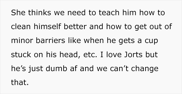 Colleague Makes Woman Cry By Saying One Of The Office Cats Is Dumb And The Matter Reaches HR