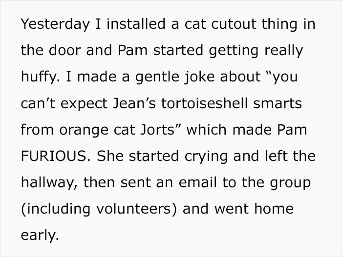 Colleague Makes Woman Cry By Saying One Of The Office Cats Is Dumb And The Matter Reaches HR
