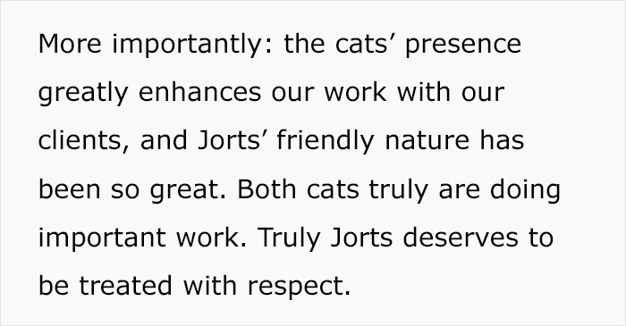 Colleague Makes Woman Cry By Saying One Of The Office Cats Is Dumb And The Matter Reaches HR