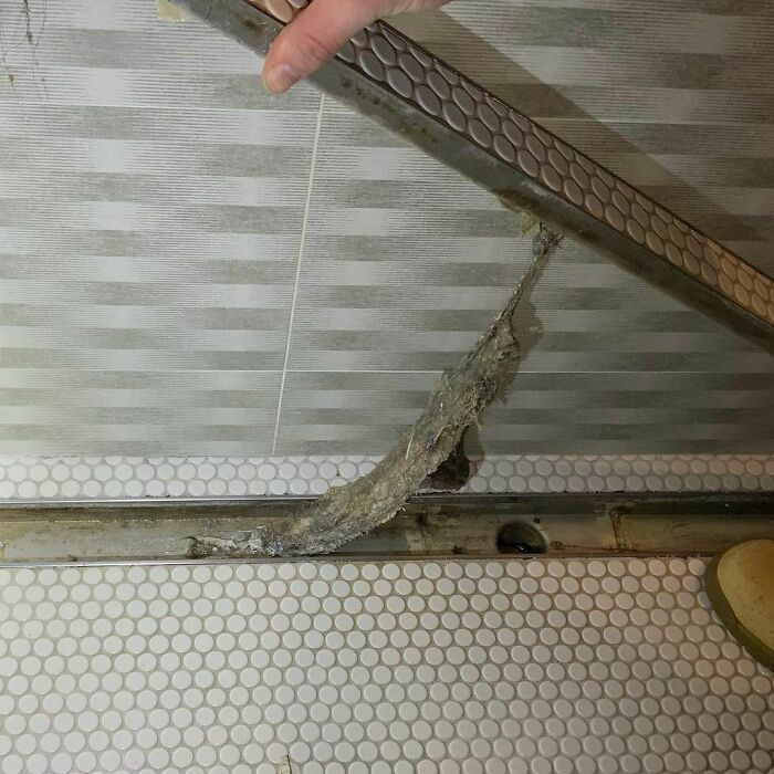 40 Times Boston Home Inspectors Found Such Surprising Things During Their Work, They Had To Document It (New Pics) 40 Times Boston Home Inspectors Found Such Surprising Things During Their Work, They Had To Document It (New Pics)
