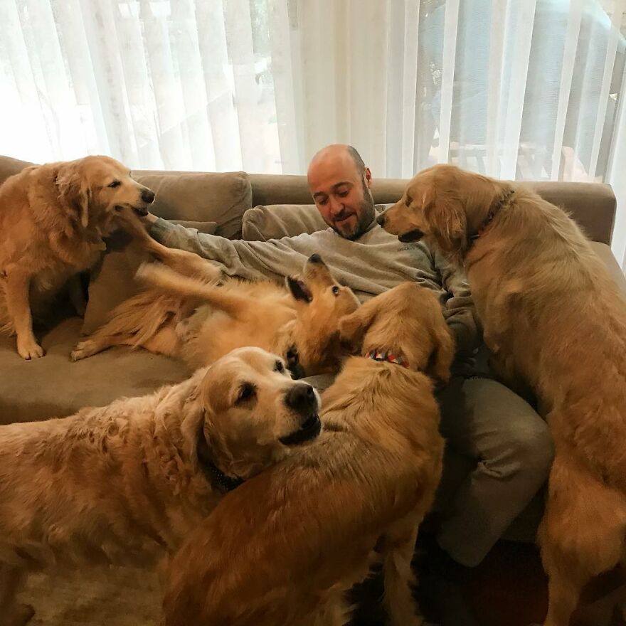 This Man Turned His Farm Into An Animal Shelter That Not Only Has Dogs And Cats But Also Other Animals Such As Horses, Seagulls And Others This Man Turned His Farm Into An Animal Shelter That Not Only Has Dogs And Cats But Also Other Animals Such As Horses, Seagulls And Others