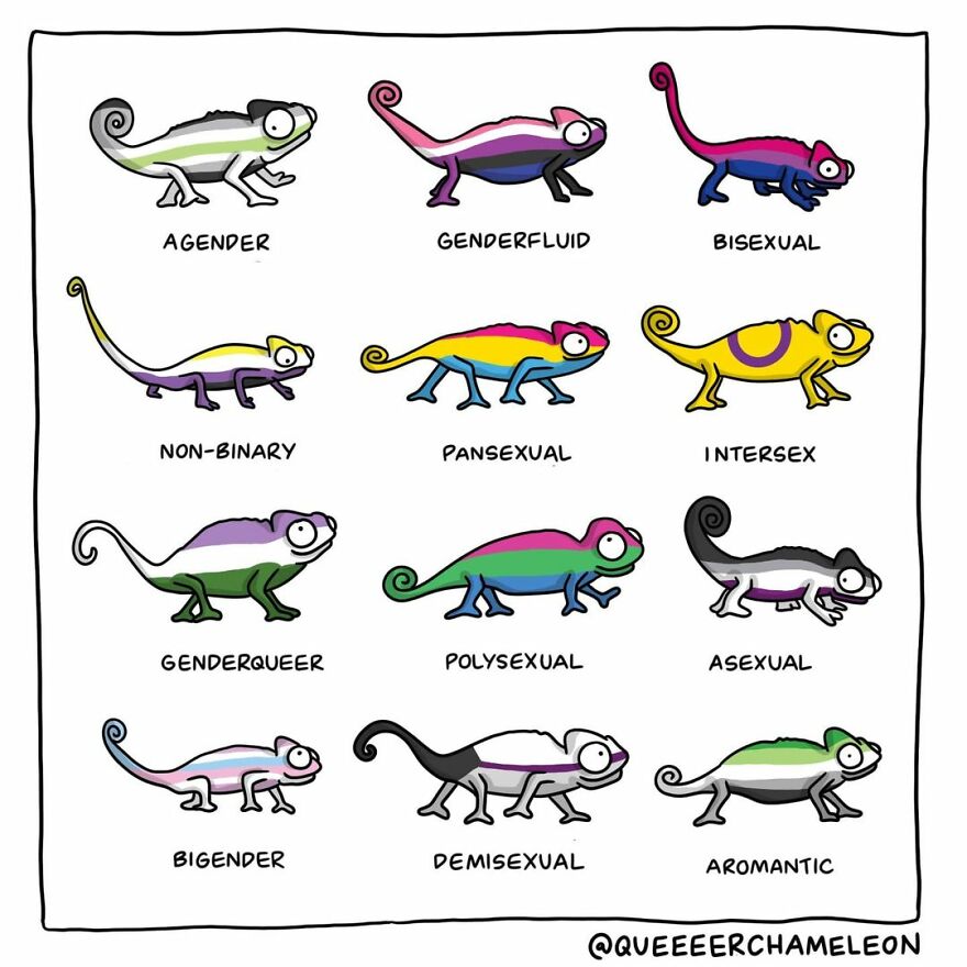 Artist Creates Queer Chameleon Comics Where The Characters Talk About Their Sexualities And Identities (26 Pics)