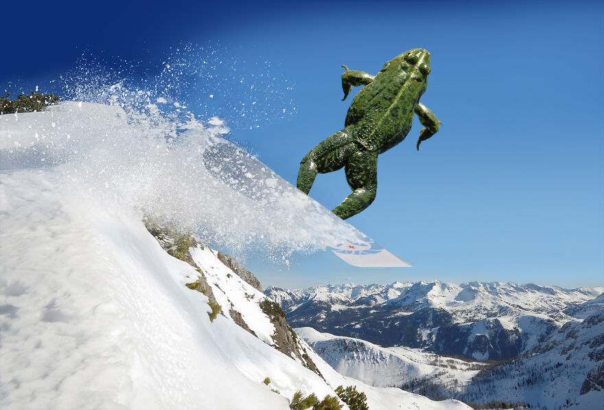 DesignCrowd Hosts A Frog Photoshop Contest, And Here Are 30 Of The Best Submissions DesignCrowd Hosts A Frog Photoshop Contest, And Here Are 30 Of The Best Submissions