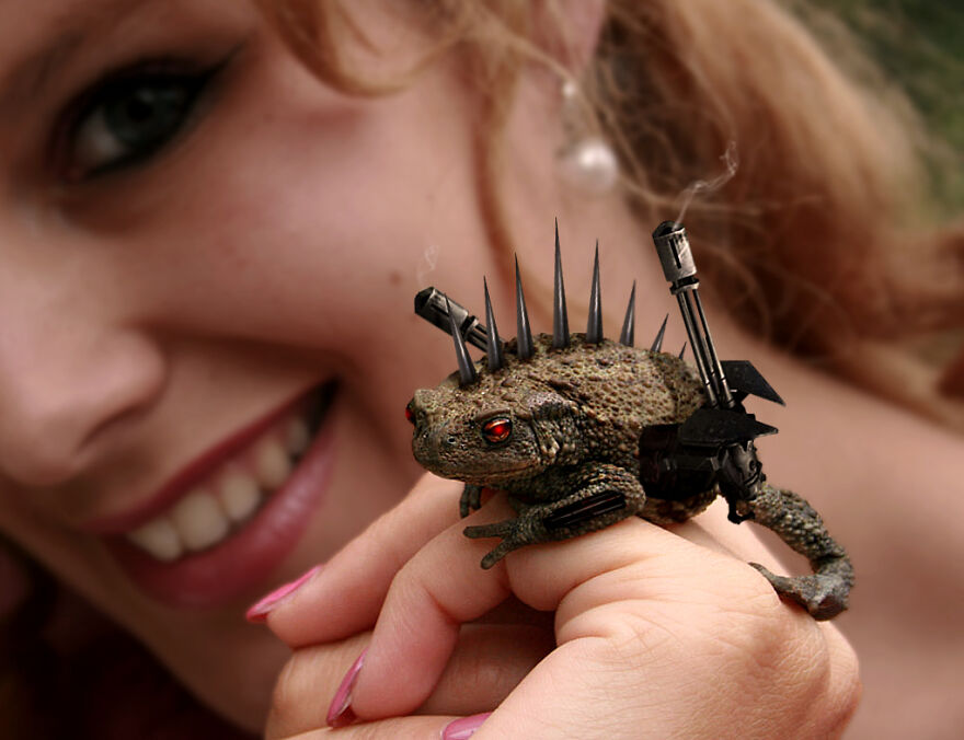 DesignCrowd Hosts A Frog Photoshop Contest, And Here Are 30 Of The Best Submissions DesignCrowd Hosts A Frog Photoshop Contest, And Here Are 30 Of The Best Submissions