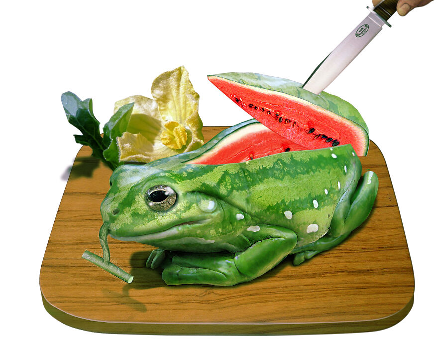 DesignCrowd Hosts A Frog Photoshop Contest, And Here Are 30 Of The Best Submissions DesignCrowd Hosts A Frog Photoshop Contest, And Here Are 30 Of The Best Submissions