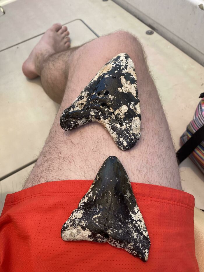 50 Times People Found Such Unexpected Things, They Just Had To Share The Pics Online (New Pics)