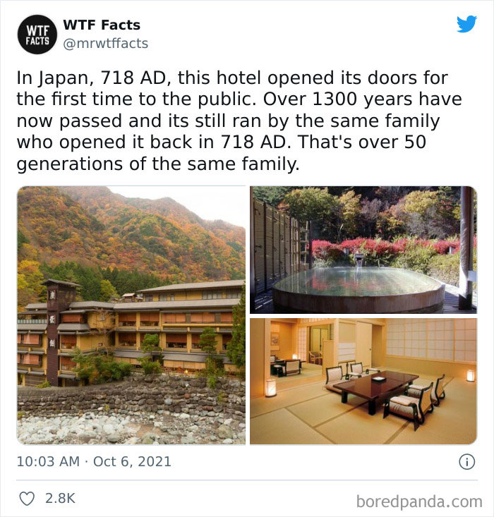 50 Random Facts That Sound Fake But Aren’t, Shared By This Twitter Account (New Pics)