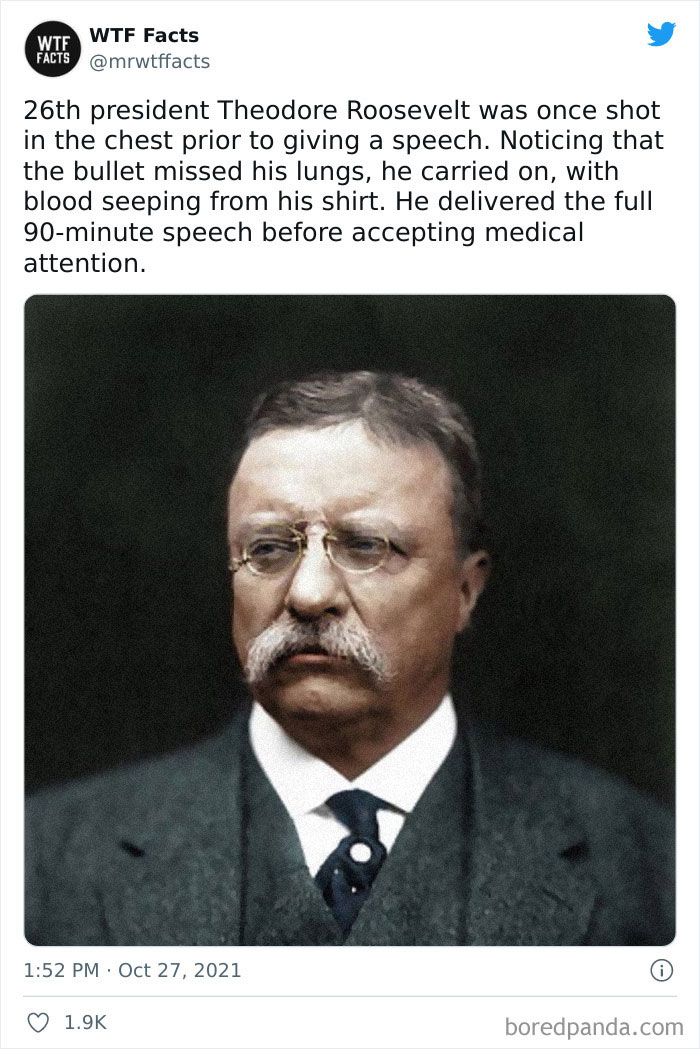 50 Random Facts That Sound Fake But Aren’t, Shared By This Twitter Account (New Pics)