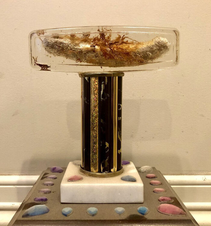 40 Of The Most Questionable Handmade Items That Made People Ask “DIY WHY” (New Pics) 40 Of The Most Questionable Handmade Items That Made People Ask “DIY WHY” (New Pics)