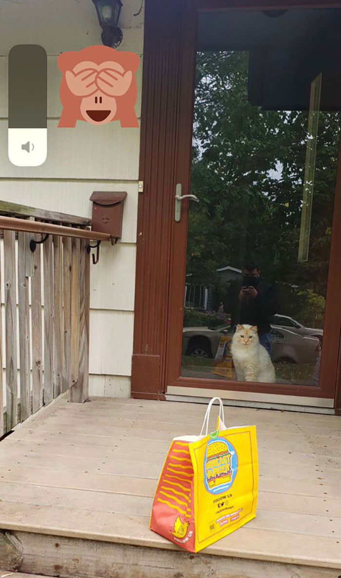 People Are Cracking Up At These 30 Funniest “Proof Of Delivery” Pics Shared By People Online People Are Cracking Up At These 30 Funniest “Proof Of Delivery” Pics Shared By People Online