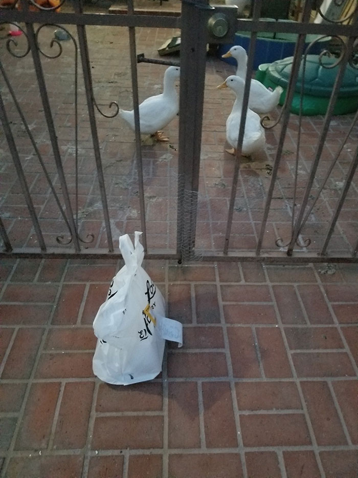 People Are Cracking Up At These 30 Funniest “Proof Of Delivery” Pics Shared By People Online People Are Cracking Up At These 30 Funniest “Proof Of Delivery” Pics Shared By People Online