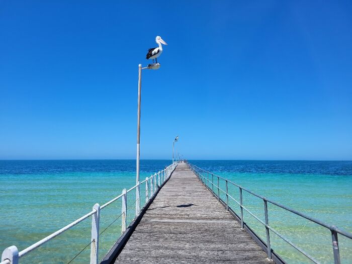 Hey Pandas, Post The Most Beautiful Picture You Have (Closed)