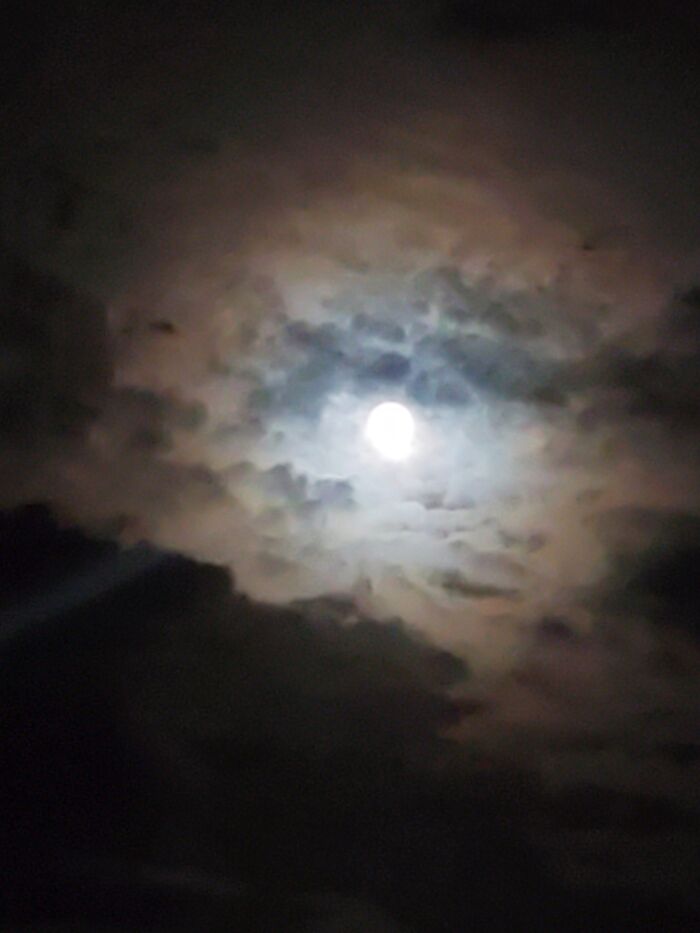 Hey Pandas, Post The Most Beautiful Picture You Have (Closed)