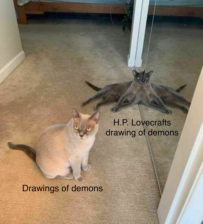 Hey Pandas, Post Cat Memes That Just Have To Be Shared (Closed)