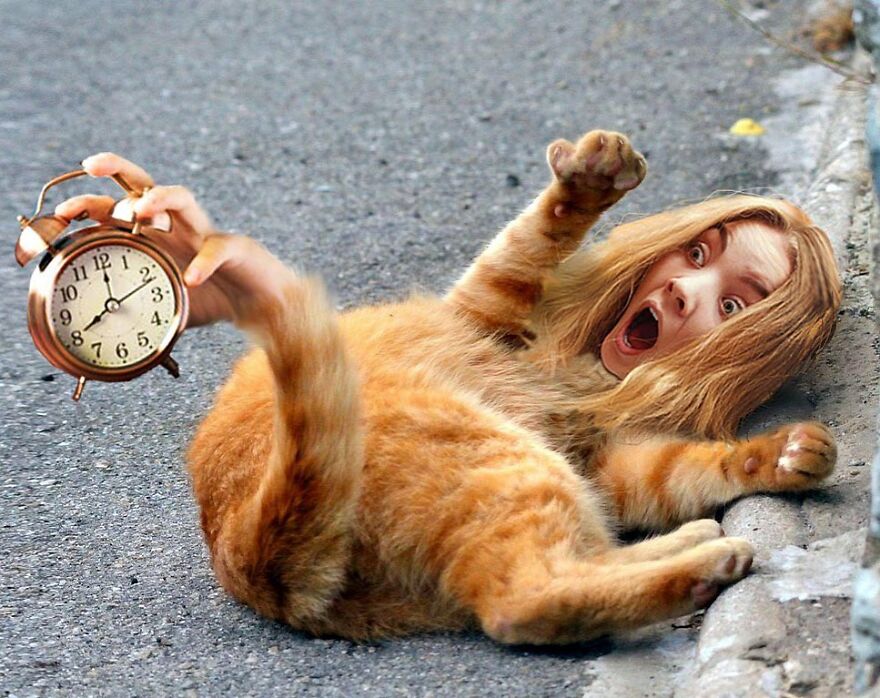 This Artist Makes Unexpected Photo Collages, And Here Are 32 New Ones This Artist Makes Unexpected Photo Collages, And Here Are 32 New Ones