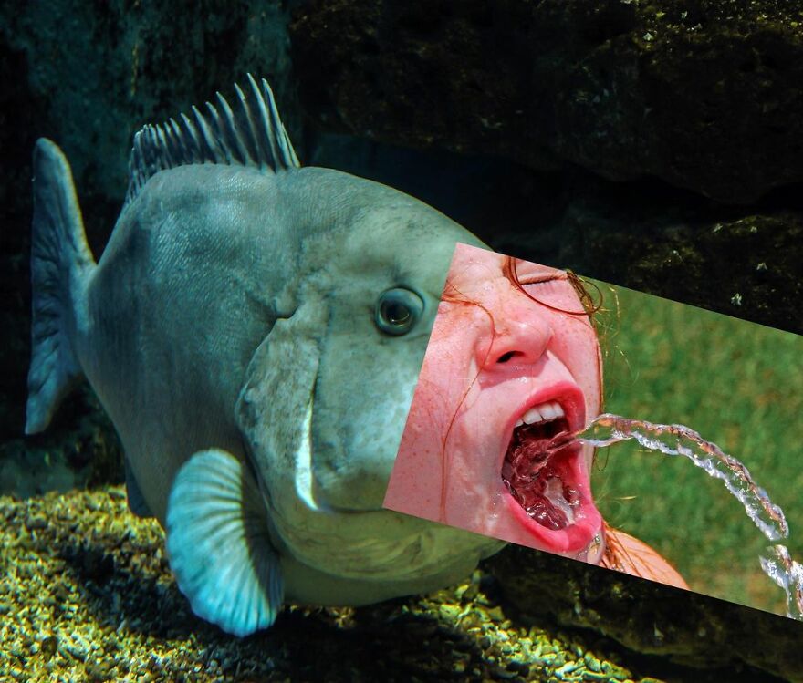 This Artist Makes Unexpected Photo Collages, And Here Are 32 New Ones This Artist Makes Unexpected Photo Collages, And Here Are 32 New Ones