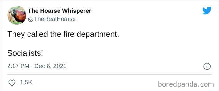 Someone Sets The Fox News Christmas Tree On Fire, And Here’s How The Internet Reacted (30 Pics) Someone Sets The Fox News Christmas Tree On Fire, And Here’s How The Internet Reacted (30 Pics)