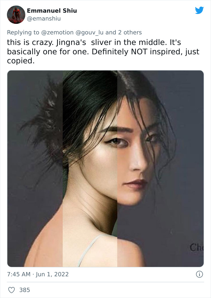 World Famous Photographer Accuses Artist Of Ripping Off Her Work, Is Shocked By His Response