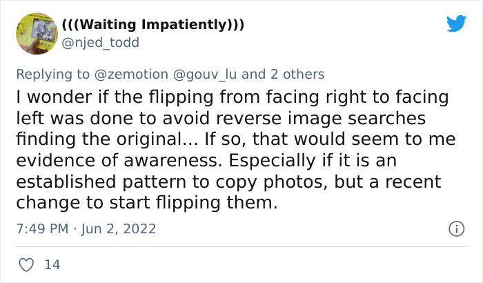 World Famous Photographer Accuses Artist Of Ripping Off Her Work, Is Shocked By His Response