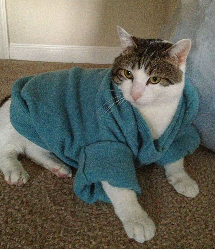 50 Times Someone’s Day Got Ruined By Hilarious Wife Fails 50 Times Someone’s Day Got Ruined By Hilarious Wife Fails