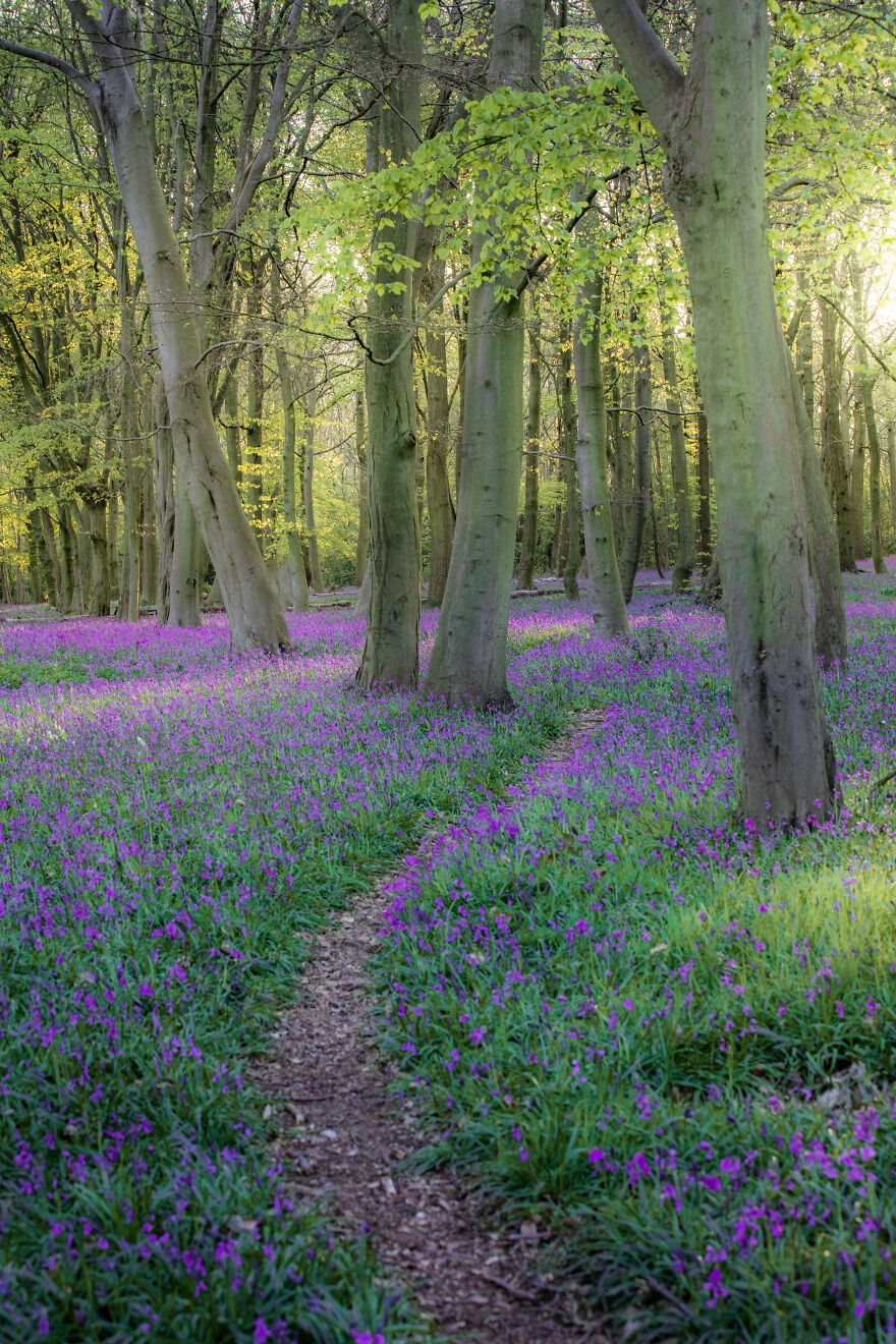 Most People Don’t Know That London Is One Of The Greenest Cities In The World, And Here Are My 23 Photos To Prove It Most People Don’t Know That London Is One Of The Greenest Cities In The World, And Here Are My 23 Photos To Prove It