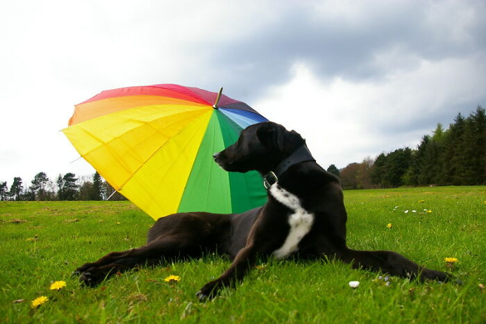 There’s No Such Thing As A Stupid Question But These 40 People Online Just Proved Everyone Wrong