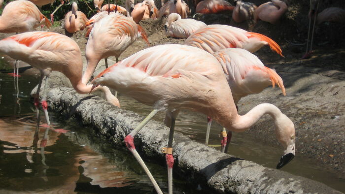 There’s No Such Thing As A Stupid Question But These 40 People Online Just Proved Everyone Wrong