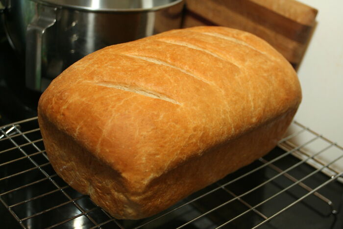 There’s No Such Thing As A Stupid Question But These 40 People Online Just Proved Everyone Wrong