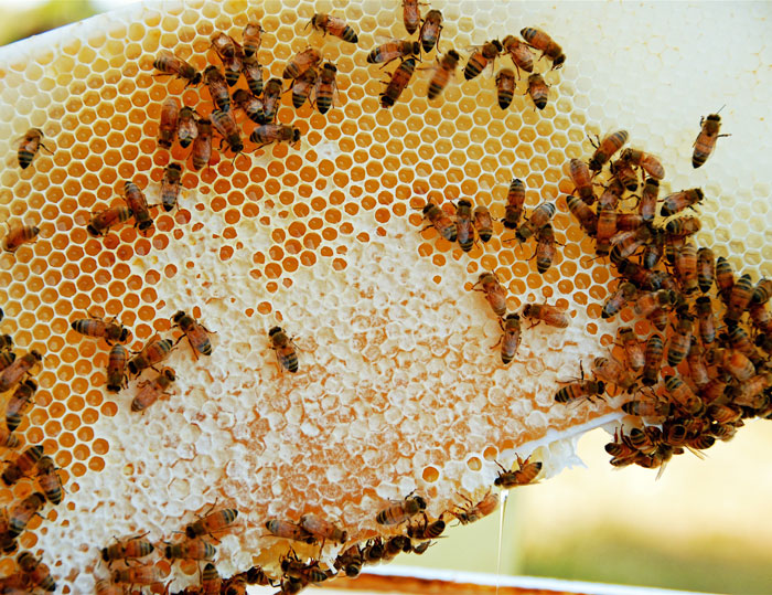 There’s No Such Thing As A Stupid Question But These 40 People Online Just Proved Everyone Wrong