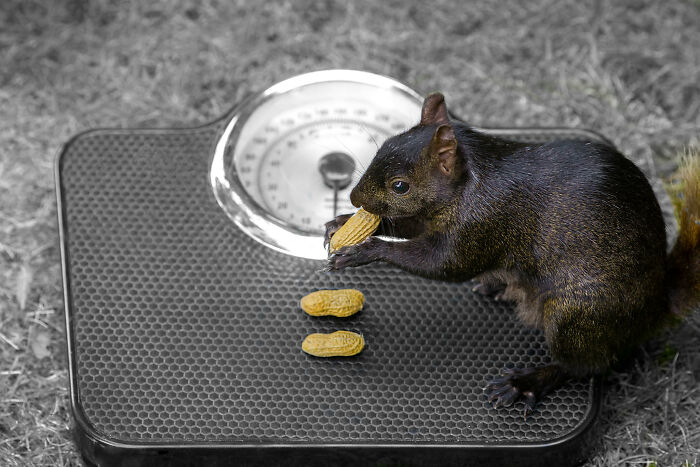 There’s No Such Thing As A Stupid Question But These 40 People Online Just Proved Everyone Wrong