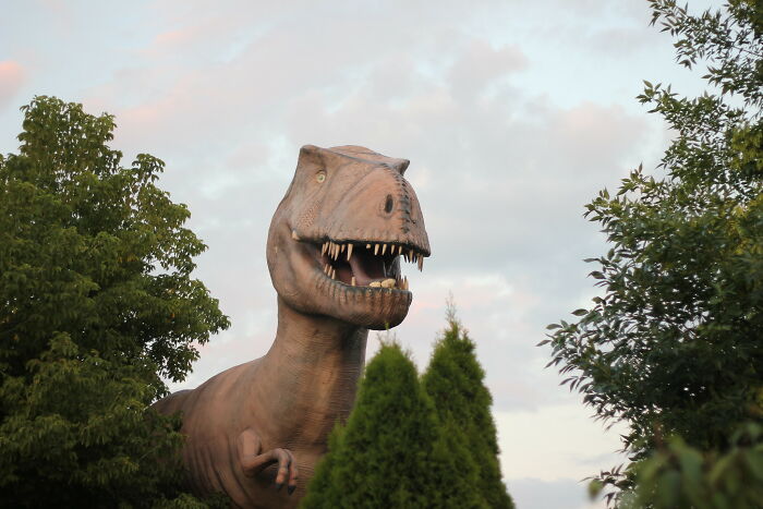 There’s No Such Thing As A Stupid Question But These 40 People Online Just Proved Everyone Wrong