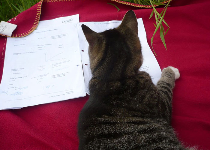 People Feel Like They&rsquo;re &ldquo;Unlocking 100% Of Their Brains&rdquo; By Using The Bionic Reading Font