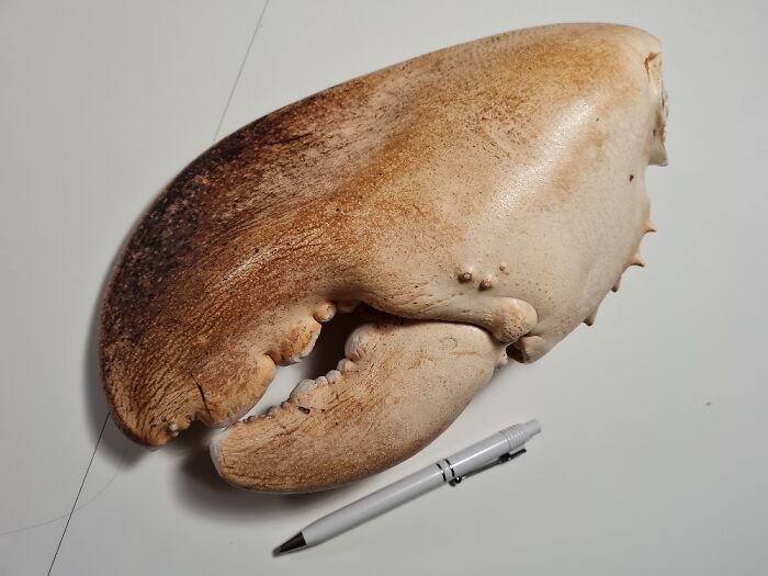 Hey Pandas, What’s Your Most Cherished Family Heirloom? (Closed)