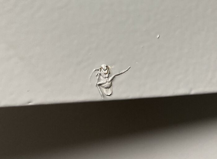 “What Could Go Wrong”: 49 Of The Absolute Worst Home Improvement Fails To Make You Cringe “What Could Go Wrong”: 49 Of The Absolute Worst Home Improvement Fails To Make You Cringe