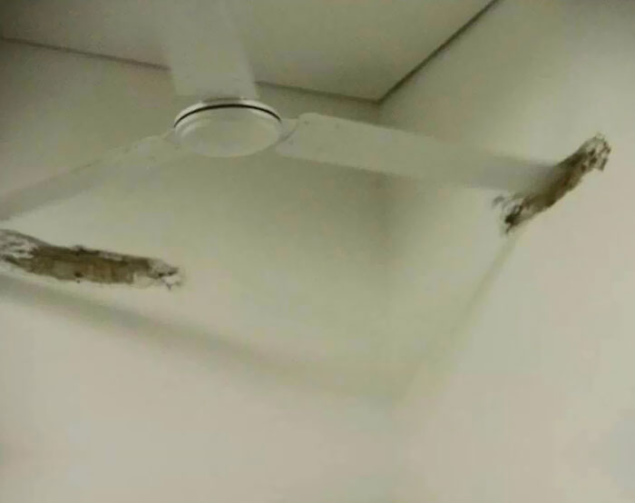 “What Could Go Wrong”: 49 Of The Absolute Worst Home Improvement Fails To Make You Cringe “What Could Go Wrong”: 49 Of The Absolute Worst Home Improvement Fails To Make You Cringe