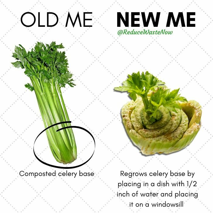 30 ‘Old Me vs. New Me’ Memes That Might Help You Reduce Waste (New Posts) 30 ‘Old Me vs. New Me’ Memes That Might Help You Reduce Waste (New Posts)