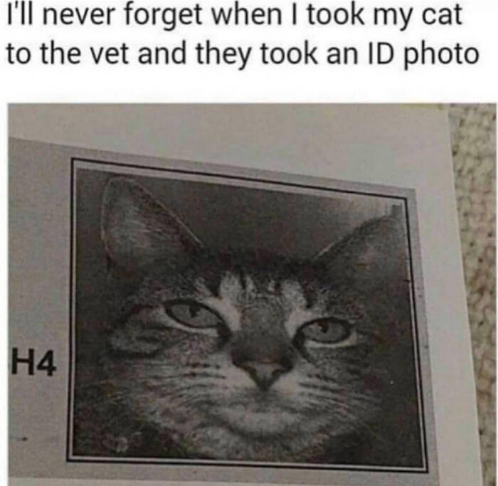 People Don’t Usually Like Their ID Pics, But These 35 Are Hilarity On Another Level People Don’t Usually Like Their ID Pics, But These 35 Are Hilarity On Another Level