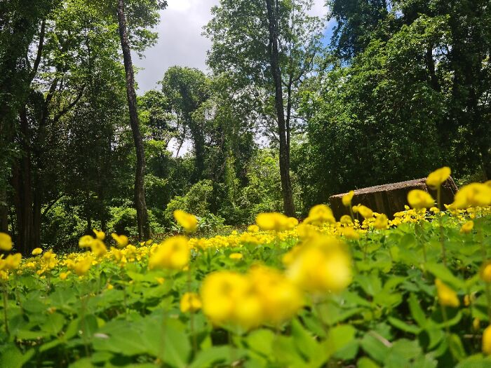 Hey Pandas, Post A Picture Of A Place You Have Traveled To (Closed) Hey Pandas, Post A Picture Of A Place You Have Traveled To (Closed)