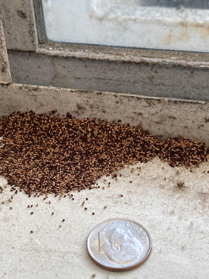 50 Times People Had No Clue What They Were Looking At, But The Internet Had Their Back (New Pics) 50 Times People Had No Clue What They Were Looking At, But The Internet Had Their Back (New Pics)