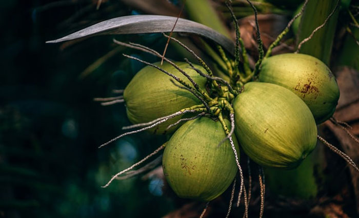 30 Weird, Fascinating, And Disturbing Statistics About Pretty Much Everything (New Answers)