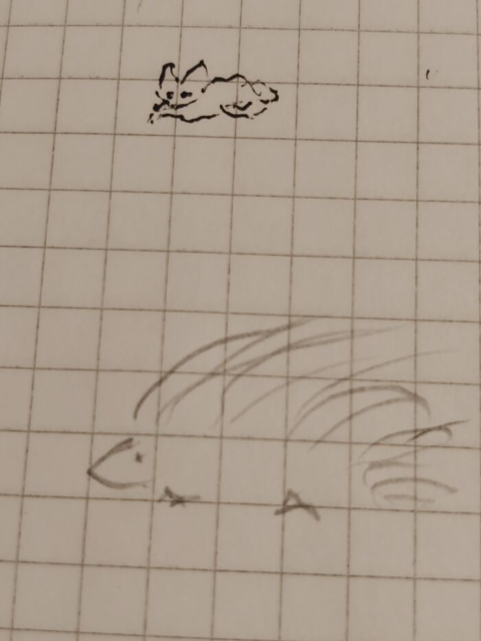 Hey Pandas, Draw An Animal Only Using Your Non-Dominant Hand (Closed) Hey Pandas, Draw An Animal Only Using Your Non-Dominant Hand (Closed)