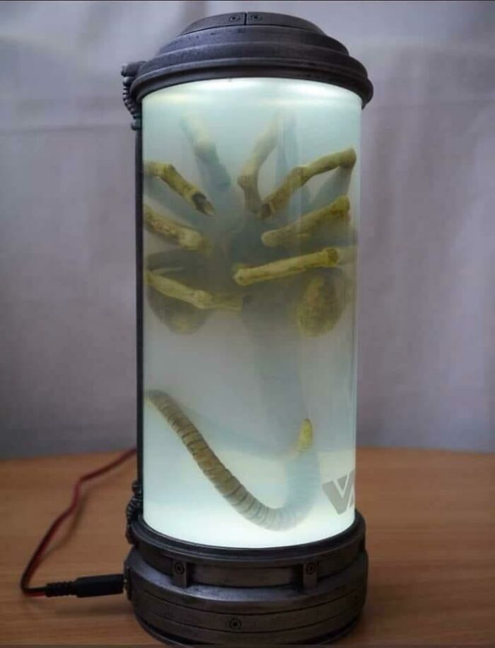 ‘Oddly Terrifying’: 40 Of The Most Unsettling Images To Give You The Creeps (New Pics) ‘Oddly Terrifying’: 40 Of The Most Unsettling Images To Give You The Creeps (New Pics)