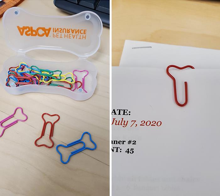 40 Designs That Are So Bad, They Deserve To Be Shamed On The Internet 40 Designs That Are So Bad, They Deserve To Be Shamed On The Internet