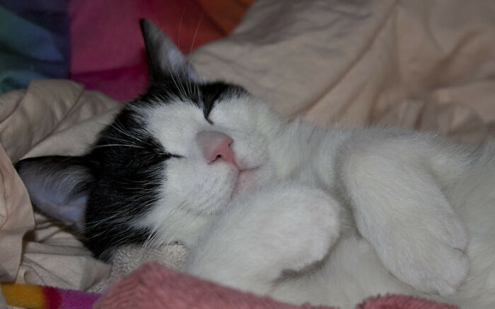 Netizens Enumerate 30 Things That Are Way Worse Than Stepping On A Lego Netizens Enumerate 30 Things That Are Way Worse Than Stepping On A Lego