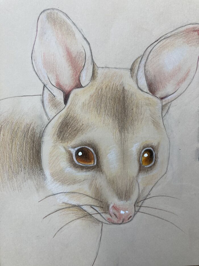 Hey Pandas, Show Us Your Art Style (Closed)