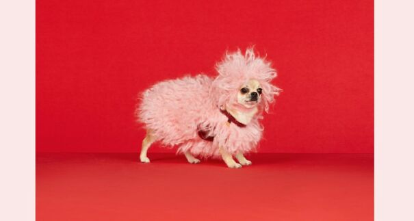 Gucci Released A Fancy Clothing And Accessories Line, And It’s Lavish Gucci Released A Fancy Clothing And Accessories Line, And It’s Lavish