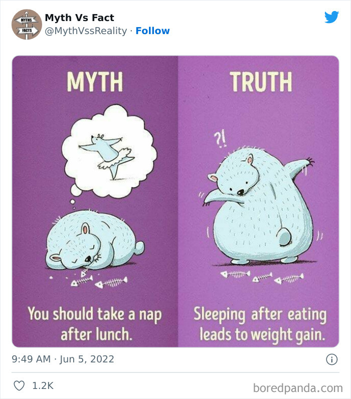 “Boost Your Knowledge”: 50 “Facts” That Are Actually Not True, Shared By This Twitter Account “Boost Your Knowledge”: 50 “Facts” That Are Actually Not True, Shared By This Twitter Account