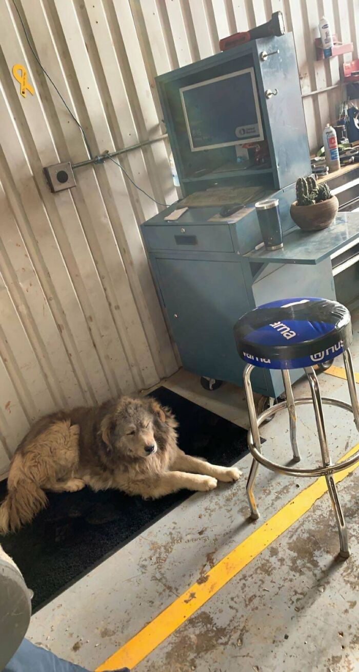 50 Pics That Show The Level Of Nonsense Mechanics Have To Deal With (New Pics) 50 Pics That Show The Level Of Nonsense Mechanics Have To Deal With (New Pics)