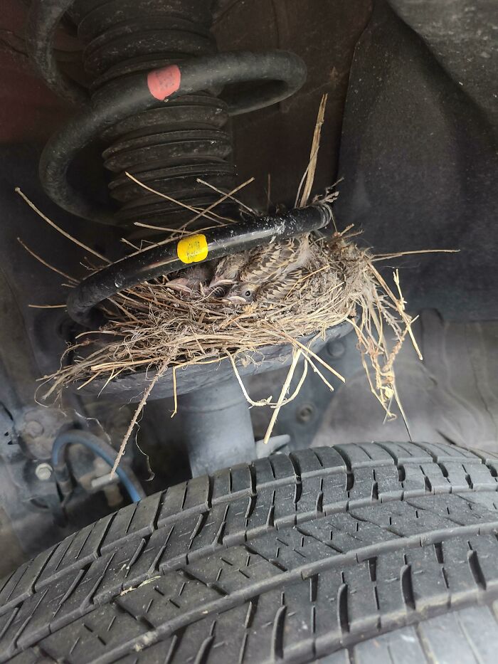 50 Pics That Show The Level Of Nonsense Mechanics Have To Deal With (New Pics) 50 Pics That Show The Level Of Nonsense Mechanics Have To Deal With (New Pics)